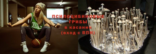 прущая мука Горно-Алтайск