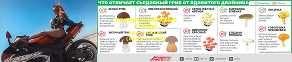 прущая мука Горно-Алтайск