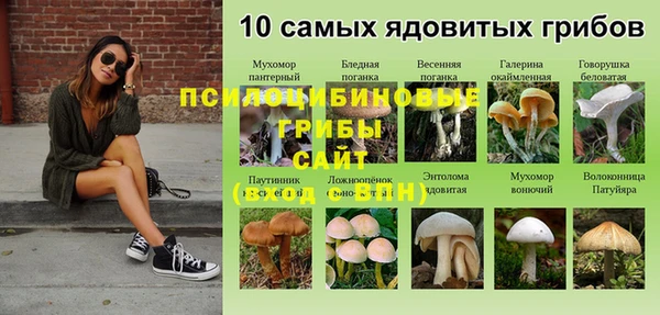 трава Горняк
