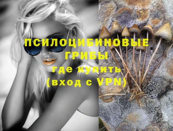 прущая мука Горно-Алтайск